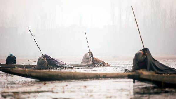 Кашмирские рыбаки на озере Анчар в Сринагаре. - Sputnik Узбекистан