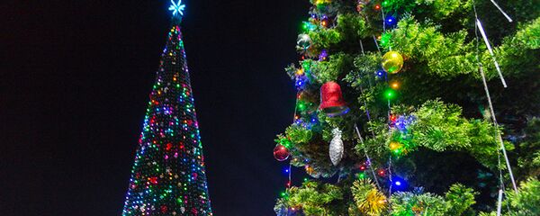 Главная елка страны зажгла праздничные огни - Sputnik Узбекистан