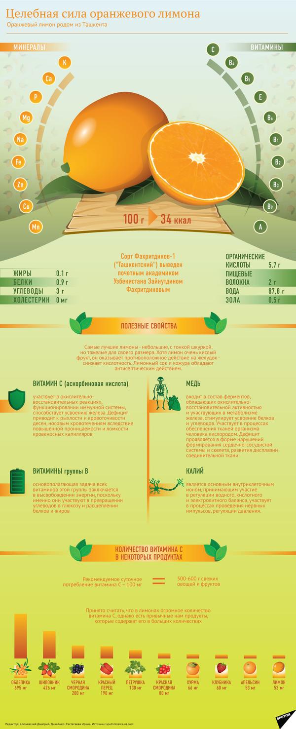 В Узбекистане создадут Центр цитрусовых В Узбекистане создадут Центр цитрусовых - Sputnik Узбекистан