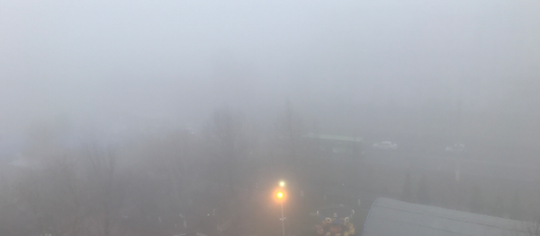 Ташкент окутал густой туман Ташкент окутал густой туман - Sputnik Узбекистан