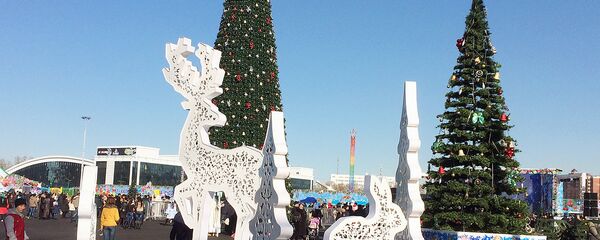 Новогодние елки на площади в Ташкенте Новогодние елки на площади в Ташкенте - Sputnik Узбекистан
