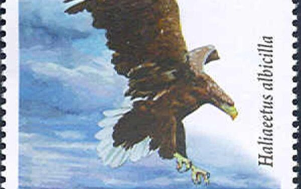 Потовая марка Узбекистон почтаси с орланом-белохвостом - Sputnik Узбекистан