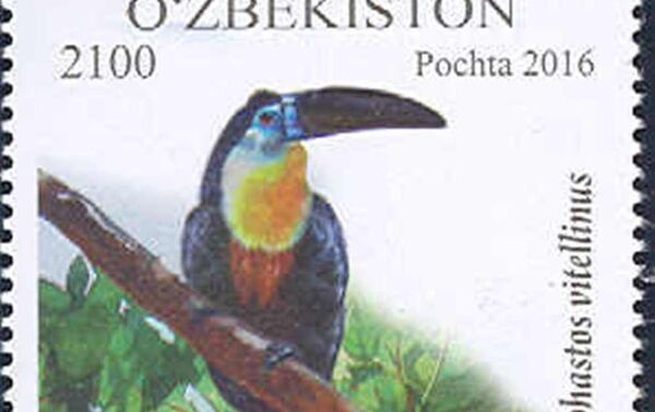 Почтовая марка Узбекистан почтаси, на которой изображен тукан ариэль - Sputnik Узбекистан
