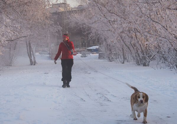 Аномальные морозы в Москве - Sputnik Узбекистан