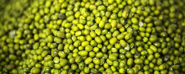 Бобы (маш) Бобы (маш) - Sputnik Узбекистан