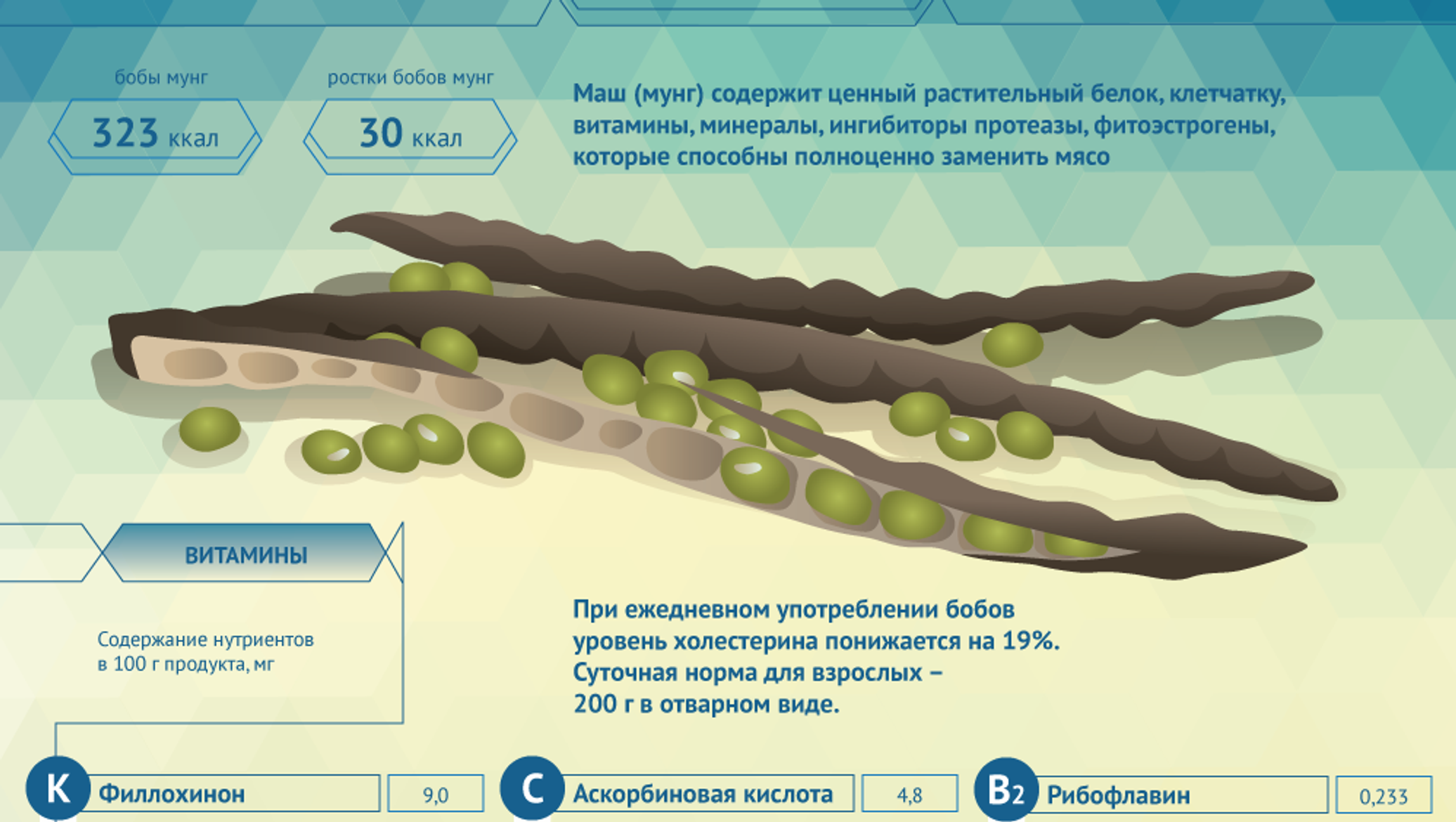 Чем полезны бобы маш и как их едят