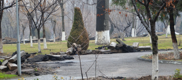 В Ташкенте на месте старого зоопарка появится новый парк В Ташкенте на месте старого зоопарка появится новый парк - Sputnik Узбекистан
