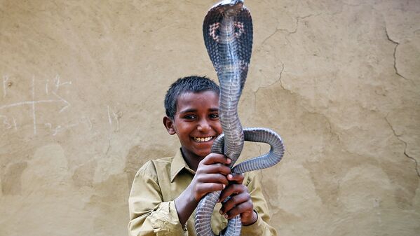 Мальчик со змеей в руках - Sputnik Узбекистан
