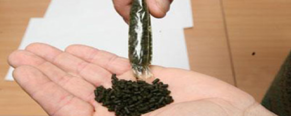 Изделие насвай Изделие насвай - Sputnik Ўзбекистон