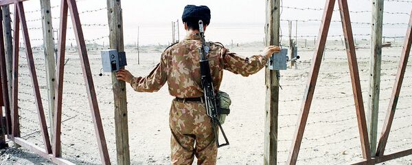 Ўзбек чегарачиси - Sputnik Ўзбекистон