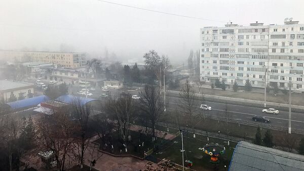 Туман в Ташкенте - Sputnik Узбекистан