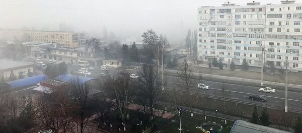 Туман в Ташкенте Туман в Ташкенте - Sputnik Узбекистан