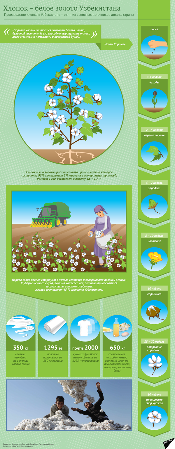 Хлопок - белое золото Узбекистана Хлопок - белое золото Узбекистана - Sputnik Узбекистан