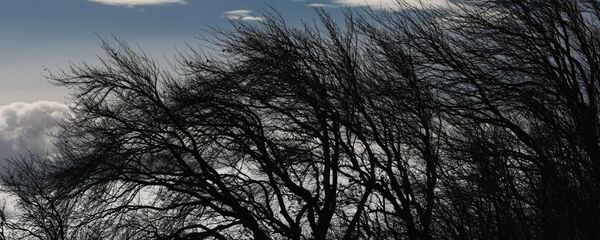 Ветер Ветер - Sputnik Ўзбекистон