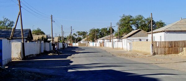 Улица в сельской местности в Узбекистане Улица в сельской местности в Узбекистане - Sputnik Ўзбекистон