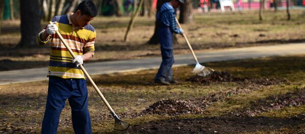 Кўчаларни ободонлаштираётган ишчилар Кўчаларни ободонлаштираётган ишчилар - Sputnik Ўзбекистон