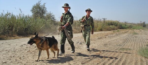 На таджикско-афганской границе в районе Пянджского погранотряда На таджикско-афганской границе в районе Пянджского погранотряда - Sputnik Ўзбекистон