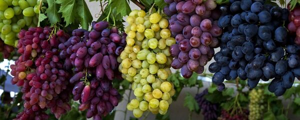 Узум фестивали Узум фестивали - Sputnik Ўзбекистон