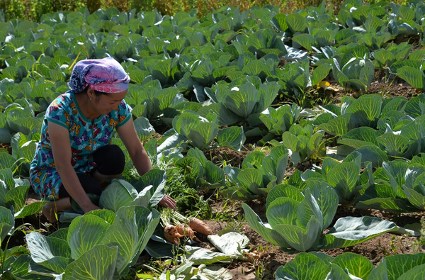 Сельские женщины Узбекистана Сельские женщины Узбекистана - Sputnik Узбекистан
