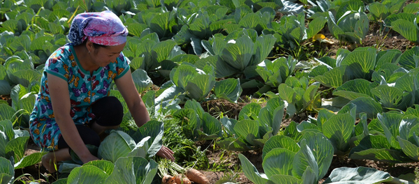 Сельские женщины Узбекистана - Sputnik Узбекистан