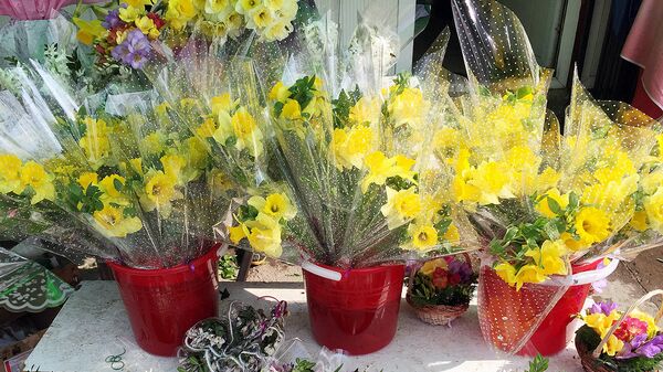 Цветы  - Sputnik Узбекистан