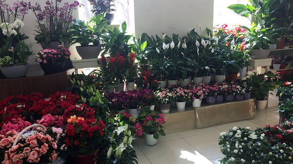 Цветы - Sputnik Узбекистан