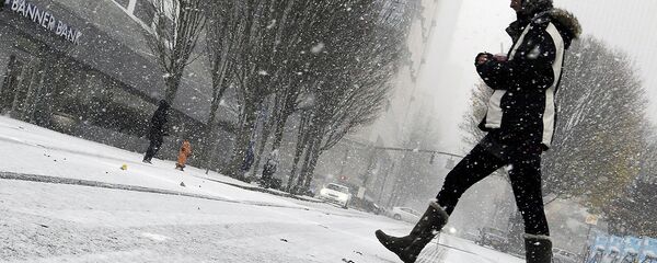 Пешеход переходит улицу - Sputnik Узбекистан