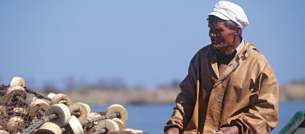 Рыбак на берегу реки - Sputnik Узбекистан