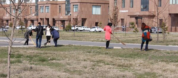 В прошлом году в столице во время хашара перед Наврузом собрали порядка восьми тысяч тонн отходов. - Sputnik Ўзбекистон