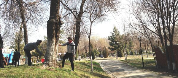 Abdulla Qodiriy bog‘ida hashar - Sputnik O‘zbekiston