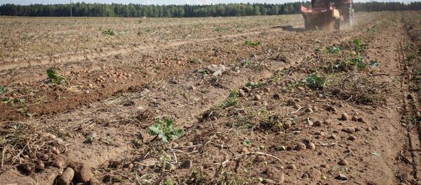 ОАО Восход-Агро - Sputnik Узбекистан