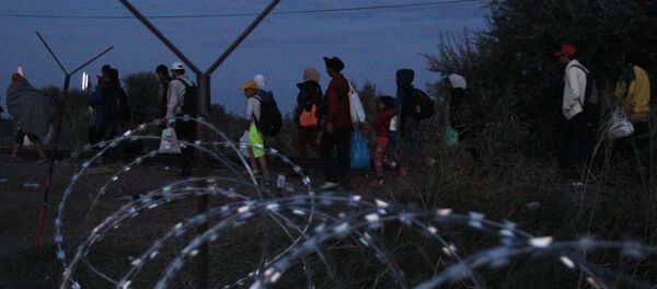Беженцы на венгерской границе Беженцы на венгерской границе - Sputnik Узбекистан