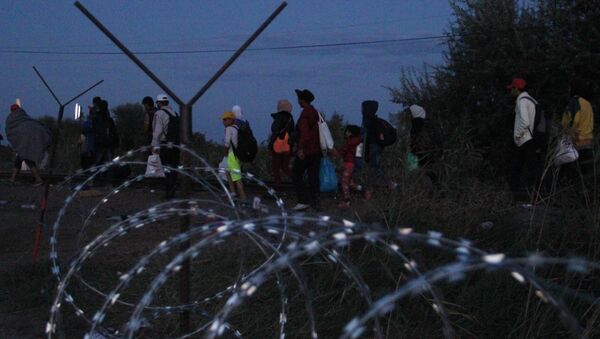Беженцы на венгерской границе - Sputnik Узбекистан