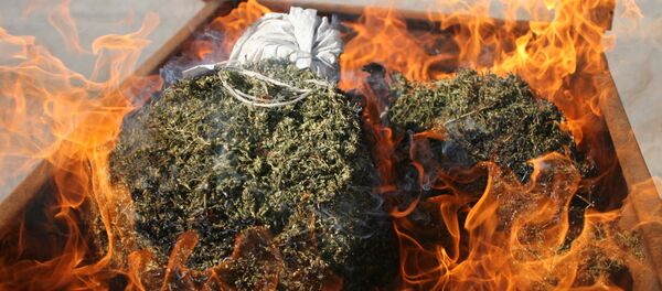 Нашанинг йўқ қилиниши - Sputnik Ўзбекистон