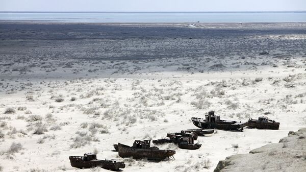 Visixayushee Aralskoe more  - Sputnik O‘zbekiston