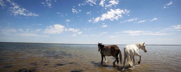 Высыхающее Аральское море - Sputnik Узбекистан