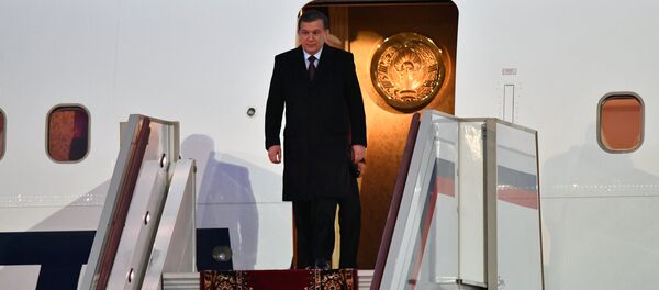 Президент Республики Узбекистан Шавкат Мирзиеев, прибывший с государственным визитом, во время церемонии встречи в аэропорту Внуково-2 Президент Республики Узбекистан Шавкат Мирзиеев, прибывший с государственным визитом, во время церемонии встречи в аэропорту Внуково-2 - Sputnik Ўзбекистон