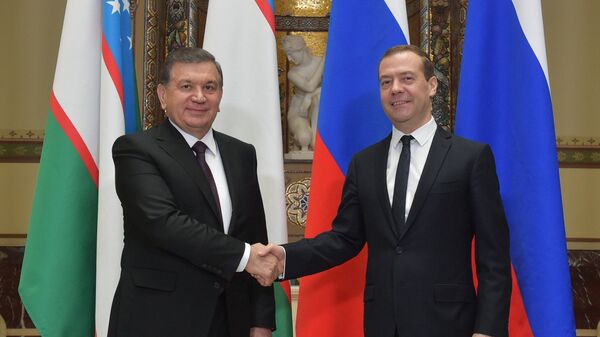 Премьер-министр РФ Д. Медведев встретился с президентом Узбекистана Ш. Мирзиеевым - Sputnik Узбекистан