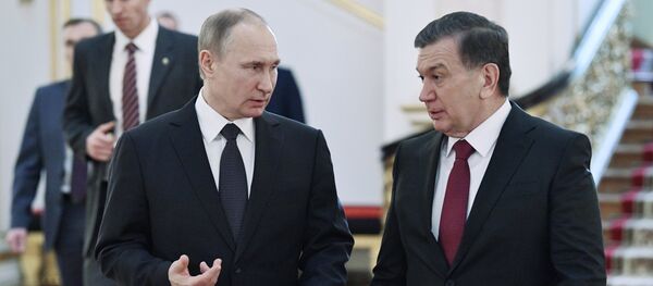 Президент РФ В. Путин встретился с президентом Узбекистана Ш. Мирзиёевым - Sputnik Узбекистан