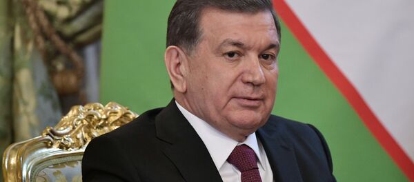 Президент РФ В. Путин встретился с президентом Узбекистана Ш. Мирзиеевым Президент РФ В. Путин встретился с президентом Узбекистана Ш. Мирзиеевым - Sputnik Ўзбекистон