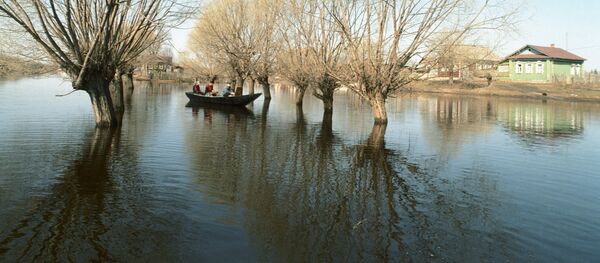 Весенний разлив реки Весенний разлив реки - Sputnik Ўзбекистон