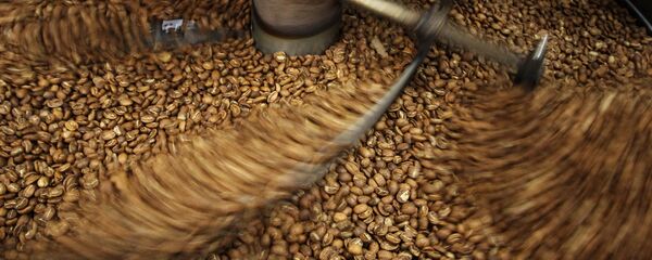 Кофейные зерна после процесса обжарки Кофейные зерна после процесса обжарки - Sputnik Узбекистан