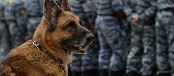 Петербургский ОМОН отмечает 20-летие создания подразделения Петербургский ОМОН отмечает 20-летие создания подразделения - Sputnik Ўзбекистон
