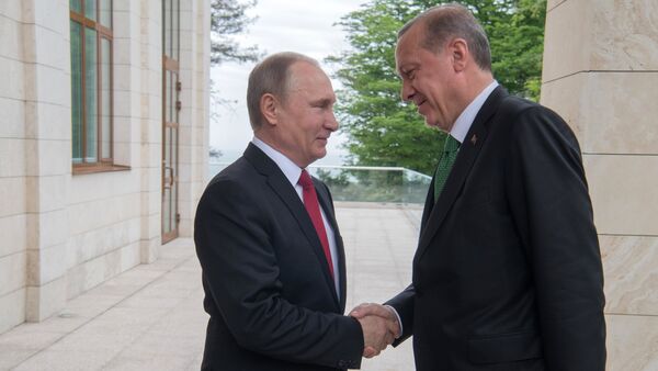 Встреча президента РФ В. Путина с президентом Турции Р. Эрдоганом - Sputnik Узбекистан