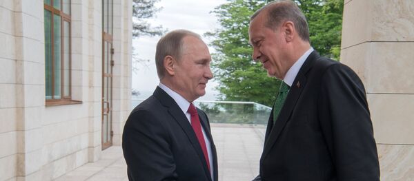 Встреча президента РФ В. Путина с президентом Турции Р. Эрдоганом - Sputnik Узбекистан