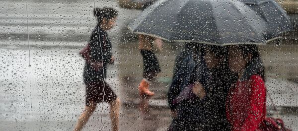 Ёмғир Ёмғир - Sputnik Ўзбекистон