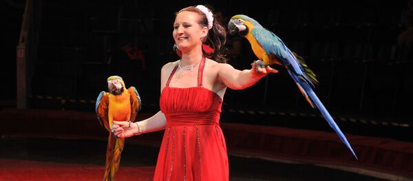 Рижский цирк Фантазия - Sputnik Узбекистан