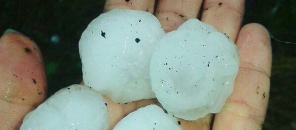 Град в Ташкенте - Sputnik Узбекистан