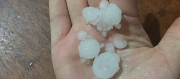 Град в Ташкенте - Sputnik Узбекистан