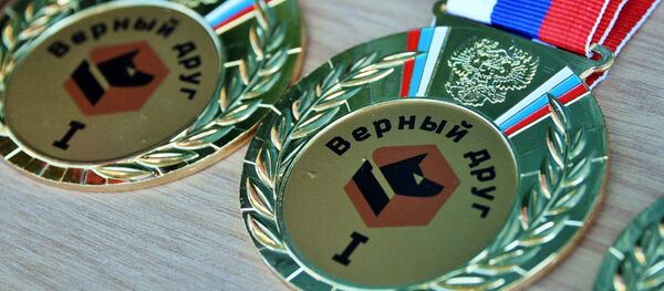 Медали конкурса кинологов ВС РФ Верный друг - Sputnik Узбекистан